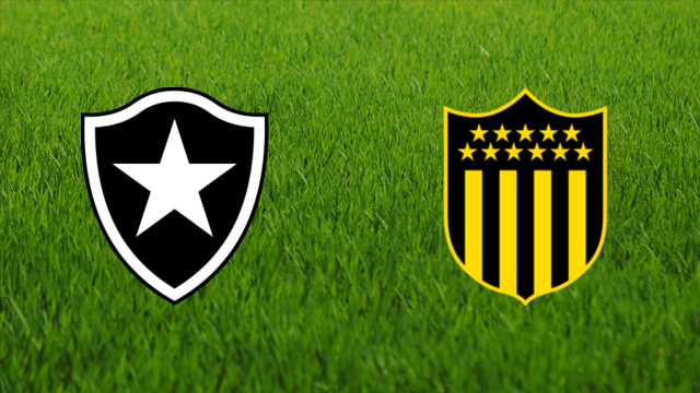 Botafogo FR vs. CA Peñarol