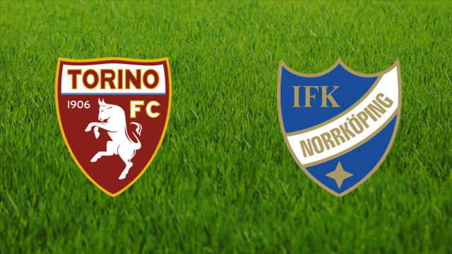 Torino FC vs. IFK Norrköping