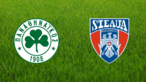 Panathinaikos FC vs. Steaua București